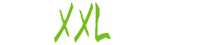 FleXXLager